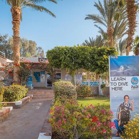 Fort Arabesque Resort, Spa & Villas-3